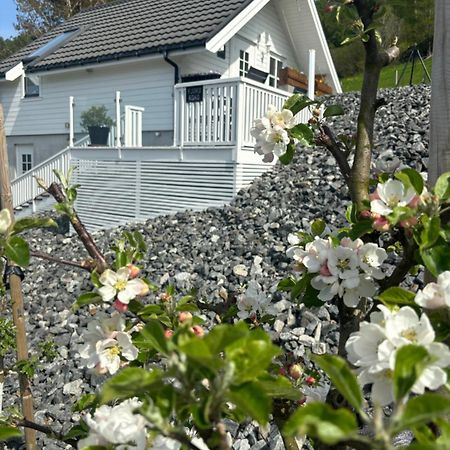 HjelmelandFjord Road公寓 外观 照片