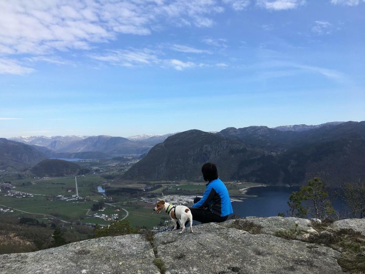 HjelmelandFjord Road公寓 外观 照片